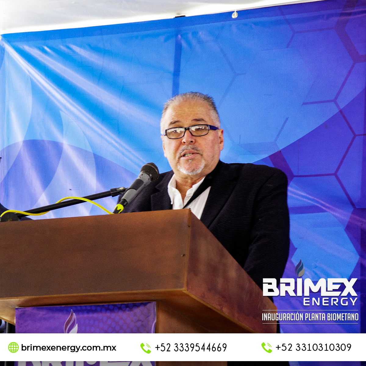 Brimex-Ernesto